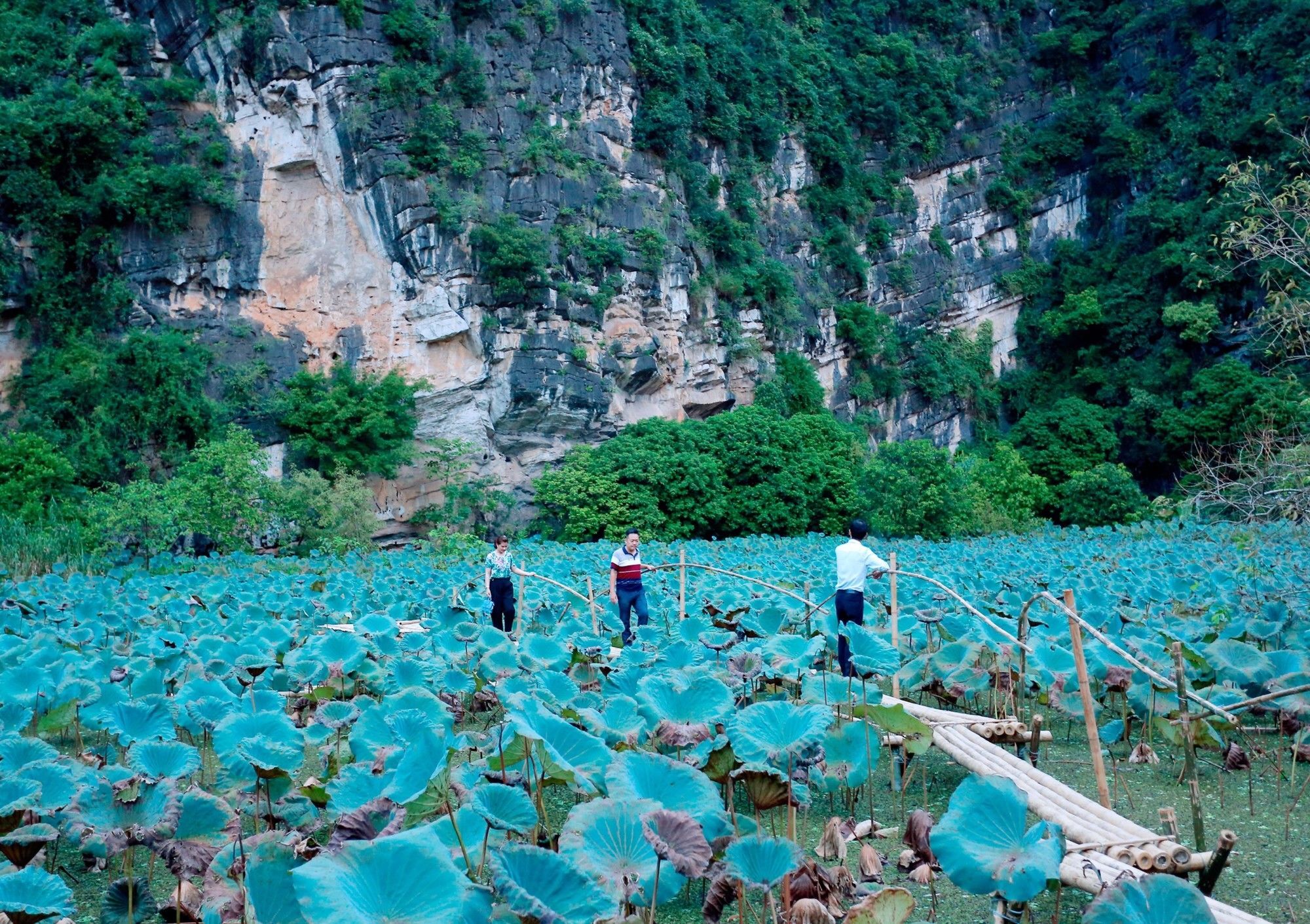 Trang An Heritage Garden Ninh Binh Dış mekan fotoğraf